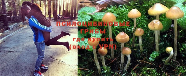 не бодяженный Володарск