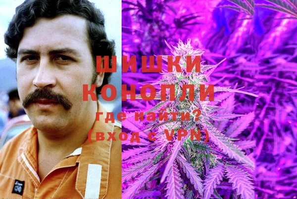 гидропоника Бронницы