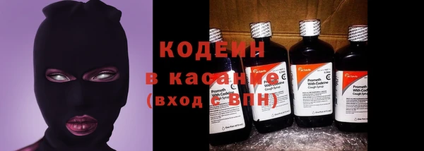 амф Верхний Тагил