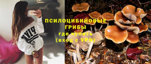 не бодяженный Володарск