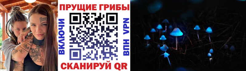 Галлюциногенные грибы Psilocybe  Ермолино 